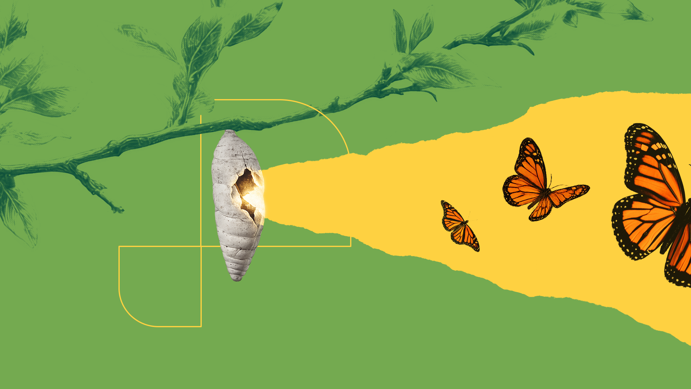 "We've Always Done It This Way" The Hidden Cost of Status Quo in Mid-Market Law Firms